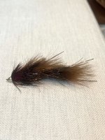 IMG_6651.jpeg