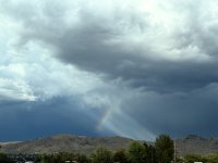 IMG_2033.jpeg