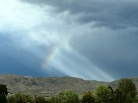 IMG_2031.jpeg
