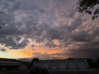 IMG_3308.jpeg