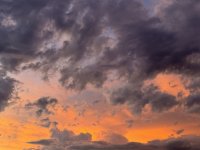 IMG_3312.jpeg