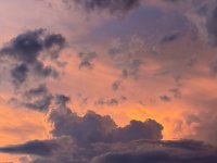 IMG_3313.jpeg