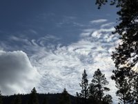 IMG_8383.jpeg
