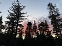 IMG_8227.jpeg