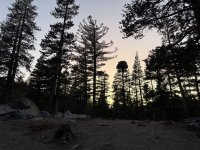 IMG_8037.jpeg