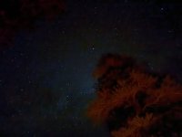 IMG_8420.jpeg
