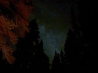 IMG_8422.jpeg