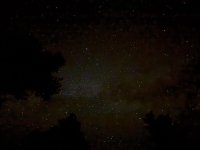 IMG_8147.jpeg