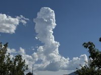 IMG_3318.jpeg