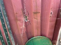 IMG_0145.jpeg