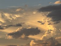 IMG_3323.jpeg