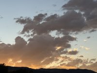 IMG_3325.jpeg