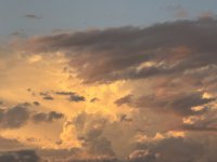 IMG_3327.jpeg