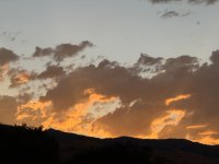 IMG_3329.jpeg
