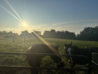 IMG_7500.jpeg