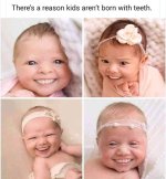IMG_2198.jpeg