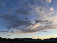 IMG_3343.jpeg