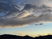 IMG_3344.jpeg