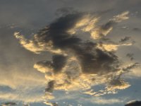 IMG_3342.jpeg