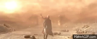 IMG_8052.gif