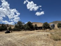 IMG_3356.jpeg