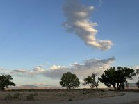 IMG_3373.jpeg