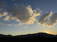 IMG_3381.jpeg