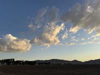 IMG_3382.jpeg