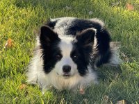 IMG_3387.jpeg