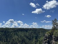 IMG_9259.jpeg