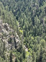 IMG_9258.jpeg