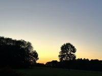 IMG_7528.jpeg