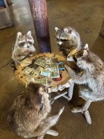 IMG_1041.jpeg