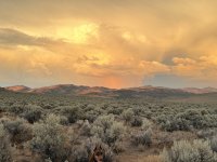 IMG_0586.jpeg