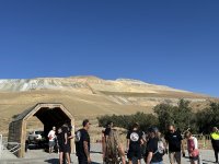 IMG_9450.jpeg