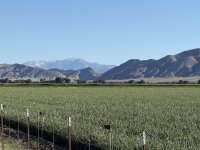 IMG_2061.jpeg