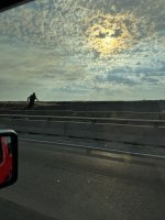 IMG_1183.jpeg