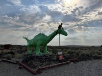 IMG_9527.jpeg