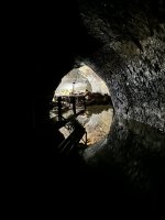 IMG_9545.jpeg