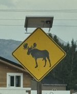 IMG_1263.jpeg