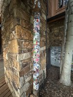 IMG_9567.jpeg