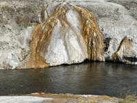 IMG_9601.jpeg