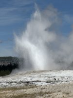 IMG_9620.jpeg