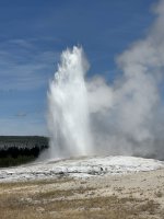 IMG_9621.jpeg