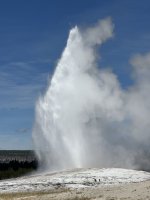 IMG_9622.jpeg