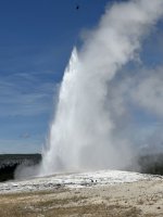 IMG_9623.jpeg