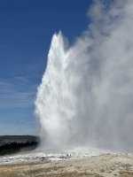 IMG_9629.jpeg