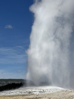 IMG_9641.jpeg