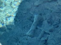 IMG_9614.jpeg