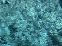 IMG_9608.jpeg